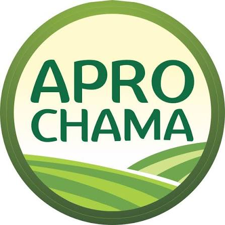 Logo Aprochama